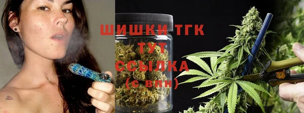 стаф Киренск