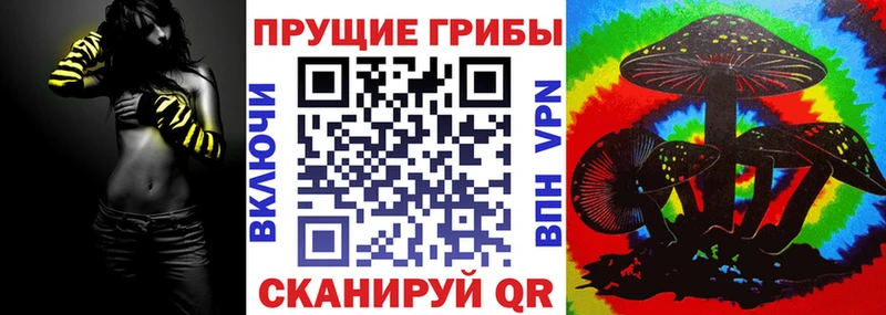 Псилоцибиновые грибы Psilocybe  где продают   Волгоград 